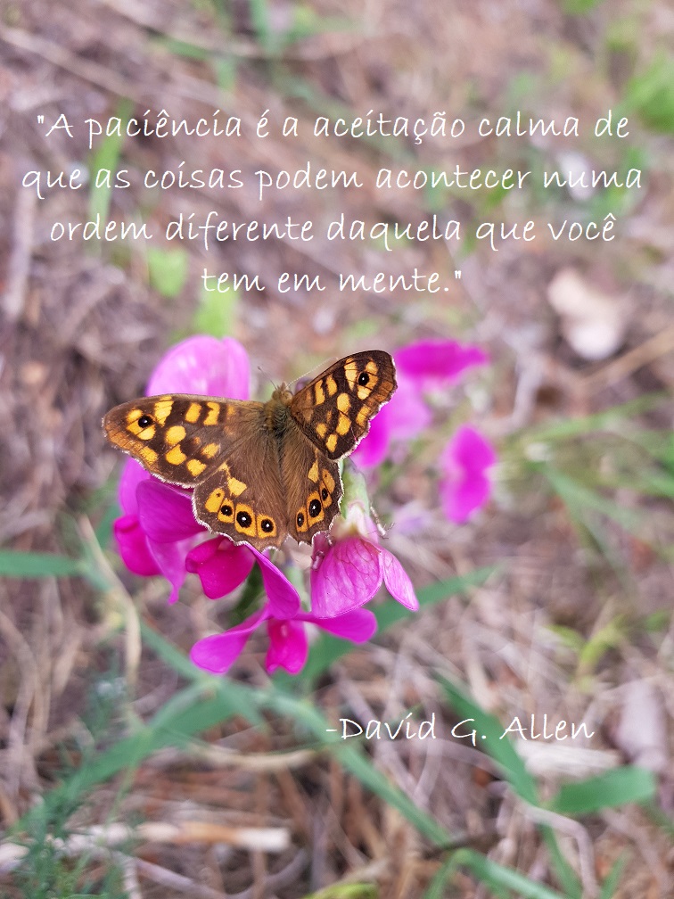 20180602_160602 - Copy